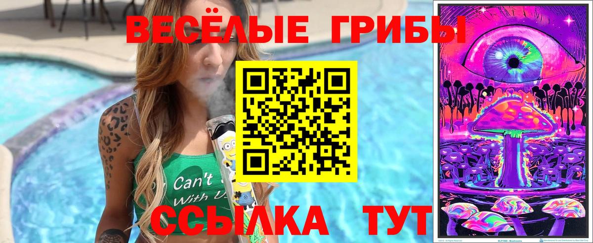 Галлюциногенные грибы MAGIC MUSHROOMS Александров