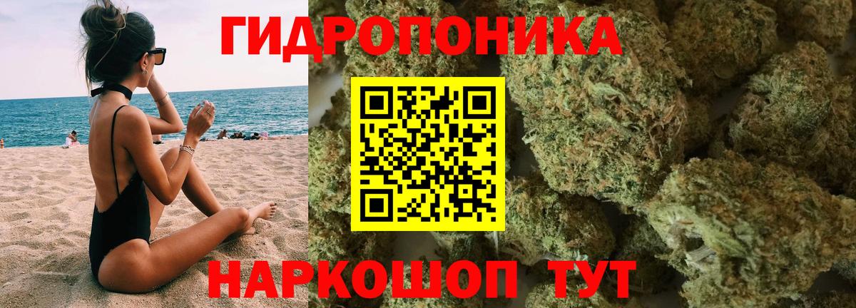Бошки Шишки семена Александров